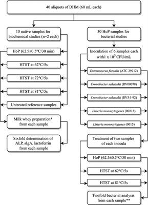 A novel heat treatment protocol for human milk